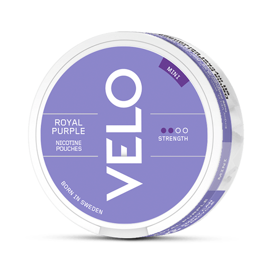 VELO Groovy Grape Mini